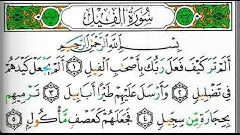 سورة الفيل بصوت القارئ الشيخ محيي الدين أبو العُلا