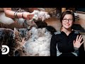 Usa el pelaje de gatos para hacer almohadas| Alaska: Hombres primitivos | Discovery Latinoamérica