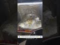 प्रेतराज दर्शन मेंहदीपुर बालाजी #hanuman #pretraj #viralvideo #mehndipur #salasarbalaji #live #new