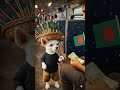 জয় বাংলা পাপ্পি পতাকা বিক্রি করছে #shorts #puppy #ai #animation