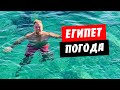 Египет. Погода сегодня. Температура моря. Завтрак в отеле Albatros Palace. Хургада 2020