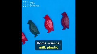 Home science: milk plastic