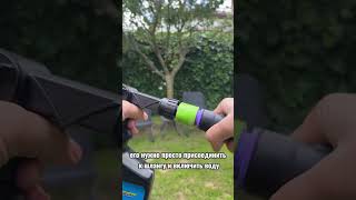 Как избавиться от ос и мух на участке #осы #мухи