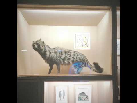 Video: Bảo tàng nước hoa Fragonard ở Paris