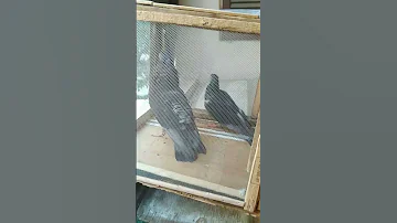 اتخدعت في هدومي واسكتي 