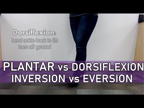 Plantar Flexion vs Dorsiflexion, Inversion vs Eversion