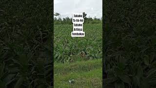 Esperanto ke Indonesia #bahasaesperanto #bahasaindonesia #esperanto #indonesia