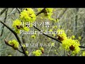 Plaisir D Amour 사랑의 기쁨 Plaisir D Amour 사랑의 기쁨