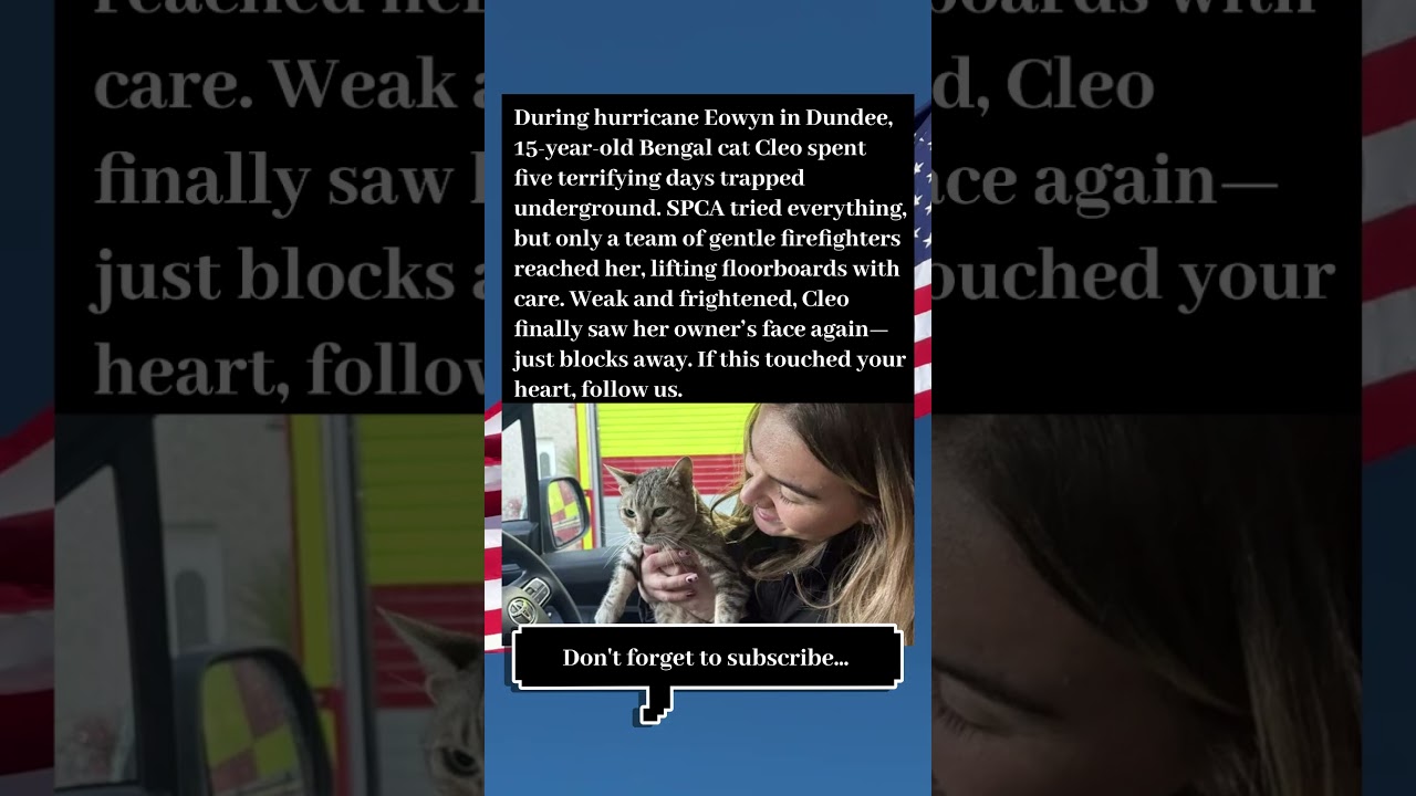 CLEO'S MIRACLE RESCUE😻🙀