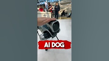 Ai Dog? 🐕 😱 #animals #ai #robot #dog #robotdog #fyp #richyanimals