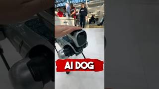 Ai Dog? 🐕 😱 #animals #ai #robot #dog #robotdog #fyp #richyanimals