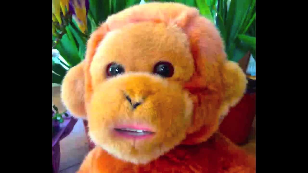 A monkey and frog quarrel - YouTube