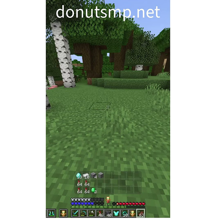 How to use pie chart minecraft 60 keyboard donutsmp youtube
