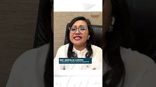 Panel Chair Same Sufficiency Issues Of Marcos Impeachment Raps To Be Raised In Vp-Related Hearings