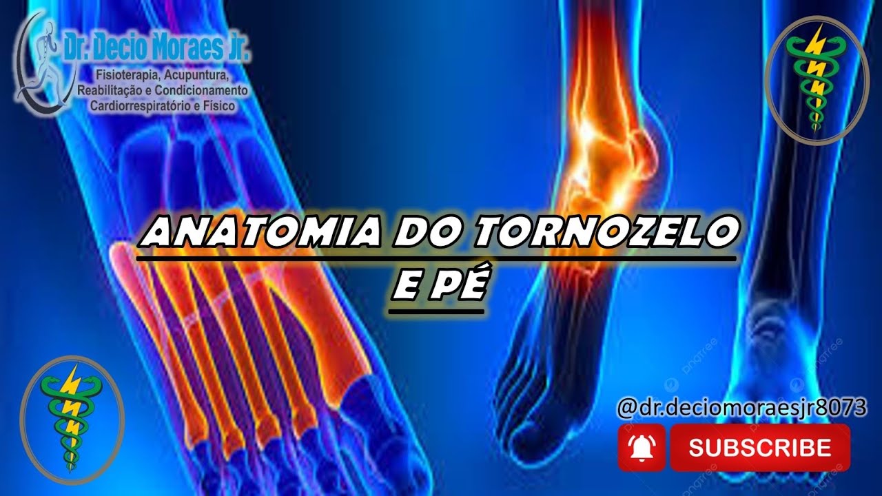 # Anatomia do Tornozelo e Pé - Série trabalhos dos meus alunos - 13.01.2026