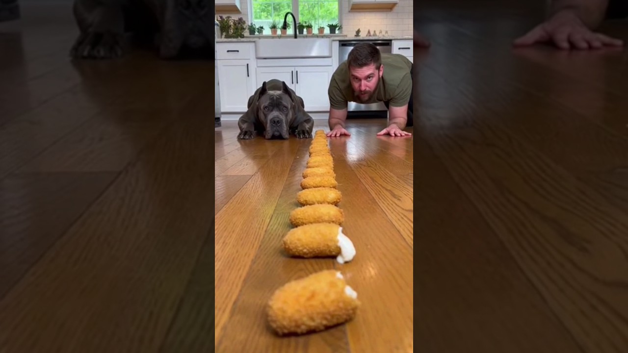 World’s Fastest Dog vs Spicy Snack Challenge 🐶🔥