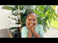 ONE MONTH POST BIG CHOP | KIDS PROTECTIVE HAIRSTYLES | HAIR GROWTH JOURNEY TO BRAID LOCS