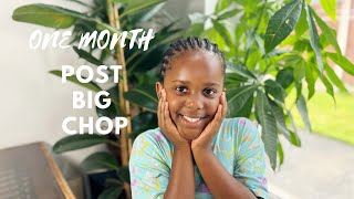 ONE MONTH POST BIG CHOP | KIDS PROTECTIVE HAIRSTYLES | HAIR GROWTH JOURNEY TO BRAID LOCS