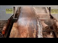 Cutting Spalted Pecan Logs with Norwood Sawmill  Woodmill Part 2