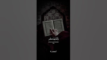 القرآن الكريم _أجر لي ولكم _أكتب شيء تؤجر عليه #🌿💞🌹🤍