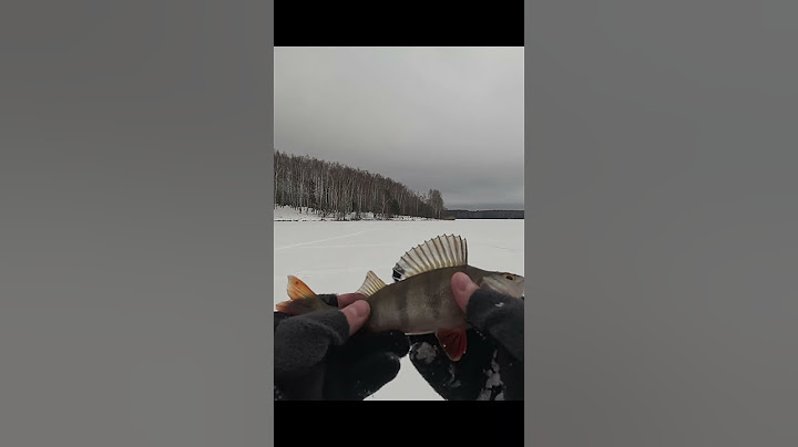 2 ЧАСА ЕЗДЫ ДО ВОДОЁМА, 7 КМ ПО ЛЬДУ, 50 ЛУНОК, И @fishfilos #философиярыболова #маркарыбака