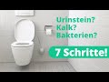 Toilette reinigen: Hausmittel und Anleitung (7 Schritte)