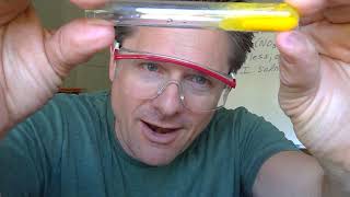 Video 12  Qualitative Observation Demo