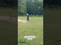 Catch dropped by fielder || #cricket #catch #catchdrop