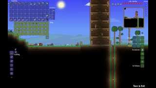 Terraria 1.2 новый дюп