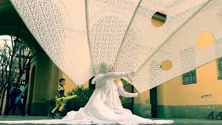 Butterfly Parolabianca