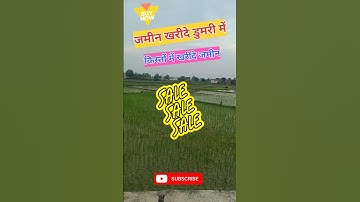 Buy Plot in Dumri Patna #buyplot #plot #plotforsale #plotonemi #plotsforsale