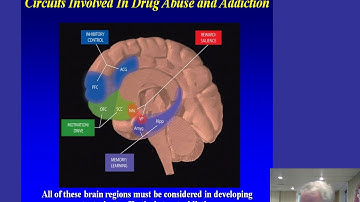 Distance BN Lecture 44 Biology of addiction video