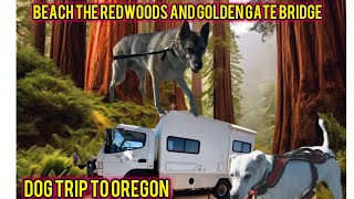 Our last Road Trip with dogs,beach | redwoods Adventure in Our Camper Van | Cross Golden Gate Bridge