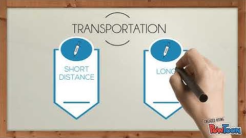 Transportation Of The Specimens (MLT)