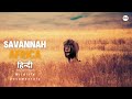 African savannah     wildlife documentary in hindi