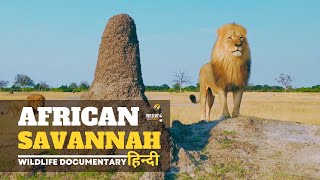 African Savannah - हिन्दी डॉक्यूमेंट्री | Wildlife documentary in Hindi