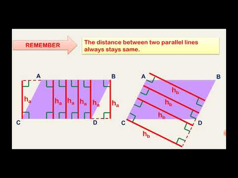 finding area of aparallelogram by Aybiçe Sadet Nurcan