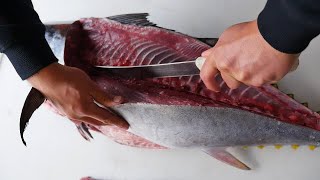 Making The Most Of Your Tuna - The Ultimate Filleting Guide