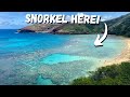 Hanauma Bay - THE BEST Hawaii Beach for Snorkeling | Everything you need to know to go