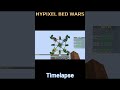 Hypixel Bedwars Timelapse shorts