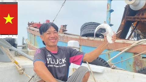 Một Ngày Câu Cá Trên Biển – Trúng Lớn, Cá Nhảy Liên Tục!”