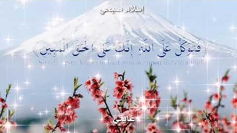 قرآن كريم بصوت اسلام صبحي // اجمل حالات واتس اب دينية // تلاوة خاشعة