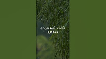 القرآن الكريم #المصحف #الرحمن #اكسبلور تلاوة خاشعة #capcut
