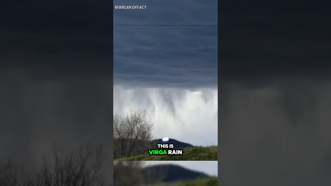 The Tiny Forest Organism Glow like Stars : Pure Magic 😱 
