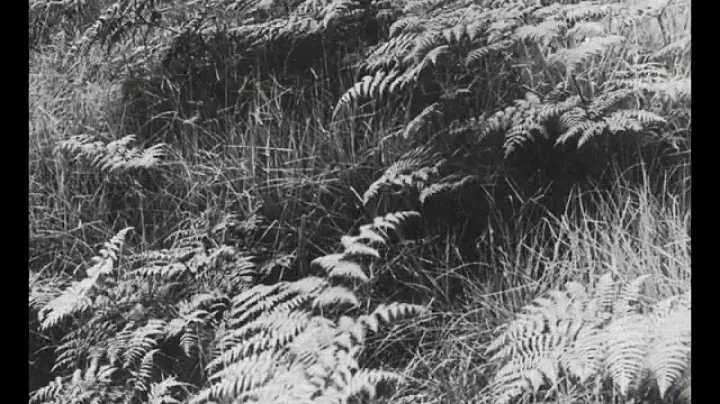 Caroline Lloyd  Paisajes (1972), version for orche...