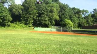 Parrot At The Ballpark