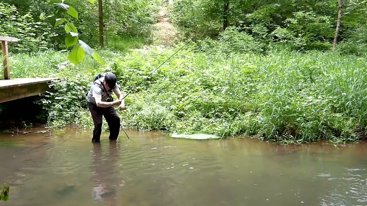 Tenkara Ebs Im Oberlauf eines Wildbaches