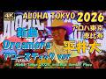 平井大【最新曲Dreamers】4K極上アコースティックライブALOHA TOKYO 2026 胸熱な新曲披露『ドリーマーズ』プレミアムライブ映像アロハ東京2026 恵比寿ガーデンプレイス