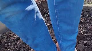 Lk Bennett Floret Heels In The Garden