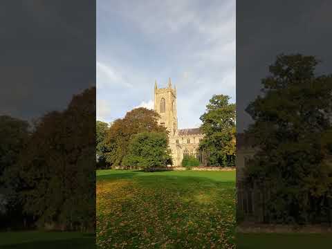 Autumn at Salle church #shorts